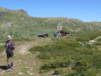 IMG 1405